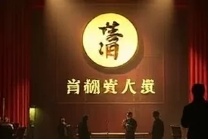 青春剧春分手记校园樱花道封面